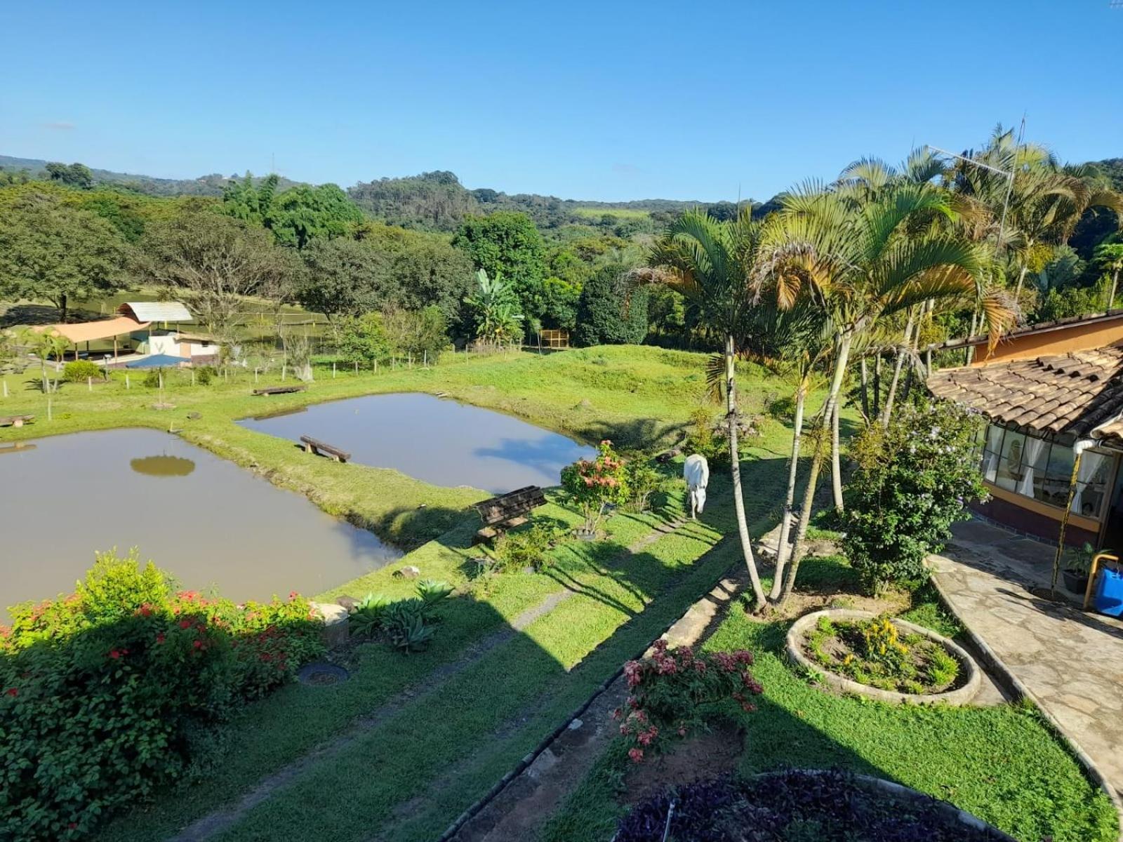 Pousada Balneario Cachoeira Do Moinho Belo Vale ภายนอก รูปภาพ